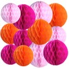 Xiksxitn Paper Honeycomb Balls Decorations - 12 Pack Hanging Tissue