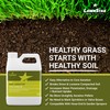 Liquid Lawn Aerator (32 fl oz) - Loosens & Conditions