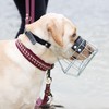 Chopo Wire Muzzle for Dog Comfort and Safety in Perfect