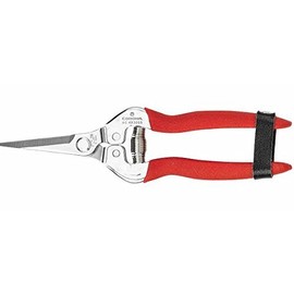 Corona Straight Snip, Stainless Steel, Garden Snips, Bypass, Red
