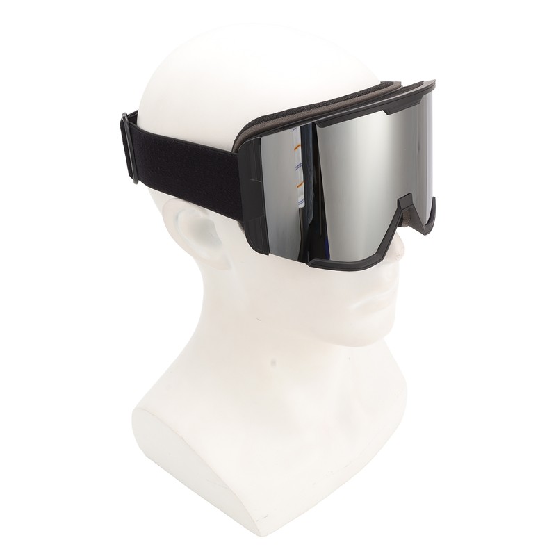 Adult Ski Goggles Double Layer Anti Fog Large Field Cylindrical