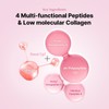 [Dr.ROSESHOP] The Peptide Collagen Hydrogel Eye Patch (60 patches) |