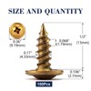 #8 x 1/2" Wood Screw 100Pcs Alloy Steel Standard Thread