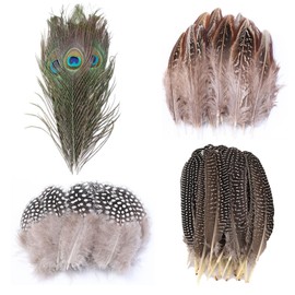 REGODI 120 Pcs Natural Craft Feathers Assorted Colors - Peacock, Turkey, Pheasant Feathers for DIY Jewelry, Wedding, Party, Parade Decorations