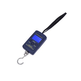 Portable Luggage Hanging Scales, Precise Balance Fishing Hook Scale with Backlight and Tare Function for Fishing, Travel and Courier, 1g-40kg, Blue