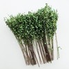 Woohome DIY Miniature Static Grass Tuft Miniature Shrubs Bushes Model