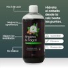 Shampoo De Órgano & Nogal Oscurecedor Natural Productos Mart Mexico