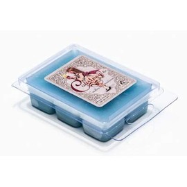 Courtney's Candles RAIN 10-Pack Mixer Melt or Wax Tart 2.5 Ounces Each