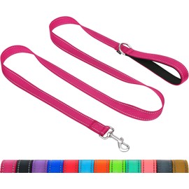 Taglory Dog Leash for Medium Large Dogs, Double-Sided Reflective Leash with Soft Neoprene Padded Handle, 1 inch by 5 ft, Fit Medium Large Breeds 20-150 lbs, Hot Pink