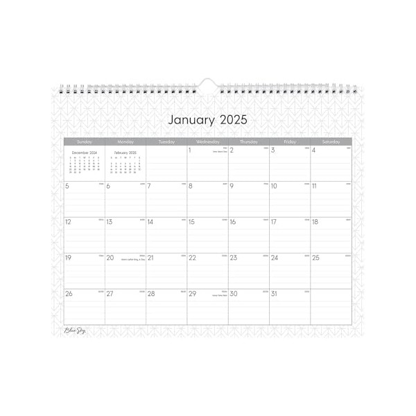 2025 Blue Sky Monthly Wall Calendar, 15" x 12", Enterprise,
