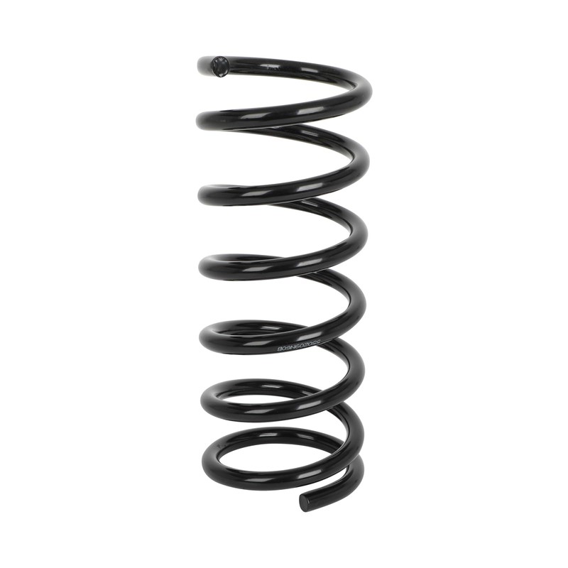 TFGCSG 2pcs Rear Pair Suspension Coil Spring for 2009-2014 for