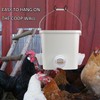 mozoba Automatic Chicken Feeder Set Hanging Chicken Feeder No Waste
