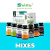 Wellthy Zinc Cúrcuma Jengibre 120 Cápsulas Optizinc Fórmula Patentada Alta