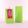 Vibrant Lime Green Paper Party Bags (Pack of 12) -