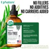 UpNature Organic Tea Tree Oil - 100% Pure Tea Tree