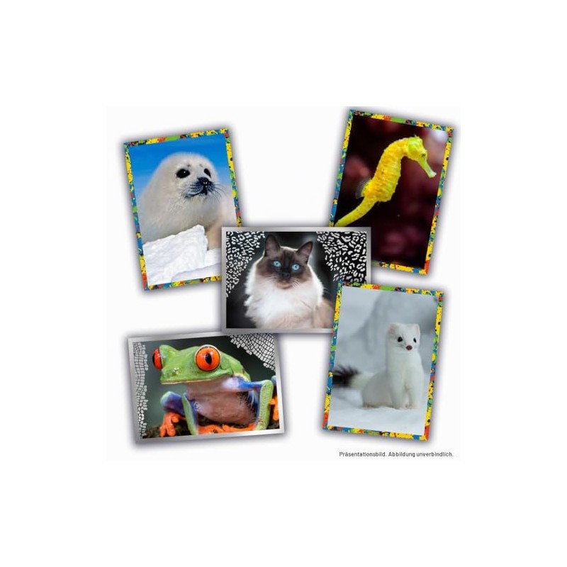 PANINI Animals 2025 Box of 36 Sleeves