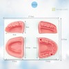 VICHE CATT Dental Suture Practice Kit, Suture Practice Kit, Teeth,