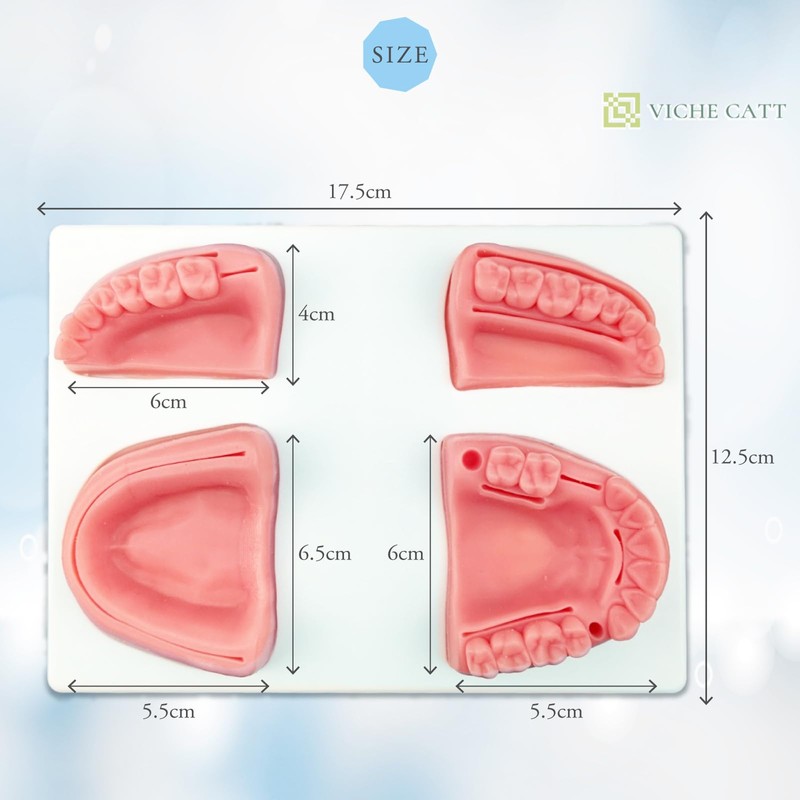 VICHE CATT Dental Suture Practice Kit, Suture Practice Kit, Teeth,