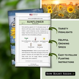 Sow Right Seeds - Mammoth Sunflower Seeds to Plant - Grow Giant Sunflowers in Your Garden - Non-GMO Heirloom Seeds for Planting an Outdoor Garden - Bright Yellow Blooms - Attract Bees and Birds (2)