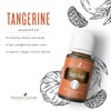 Young Living Aceite esencial de mandarina – 15 ml