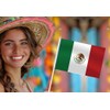 25 Pack Mexico Handheld Small Flag,Mini Mexican Hand Held Miniature