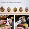 iZhuoKe Quail Egg Scissors, Pigeon Egg Scissors, Egg Scraper, Home