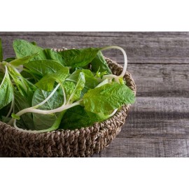 CZ GRAIN Green Amaranth Spinach Seeds for Planting - 100+ Seeds Very Healthy and Edible