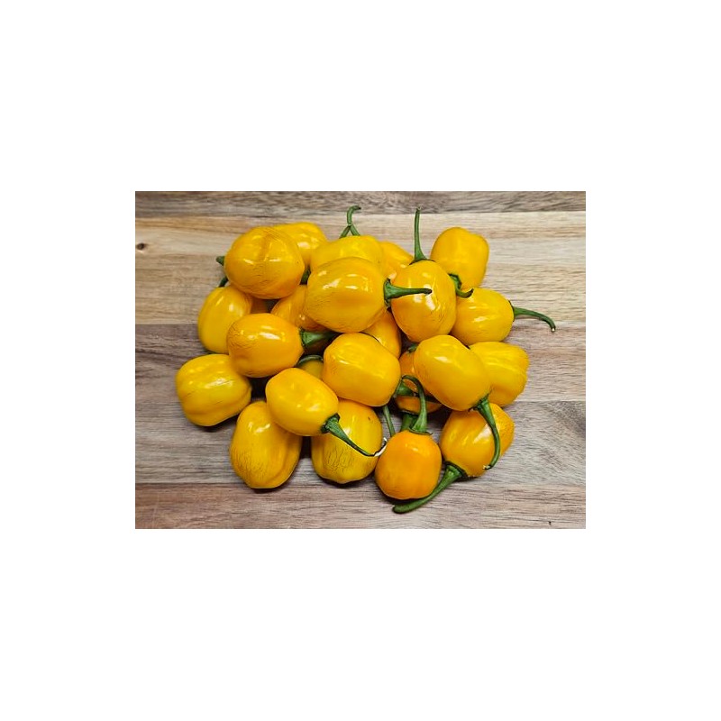 Aji Dulce Yellow Pepper Seeds 10+ Seeds