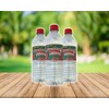 Adirondack Enhanced Water Strawberry Fruit Flavored Beverage 101.4 fl oz