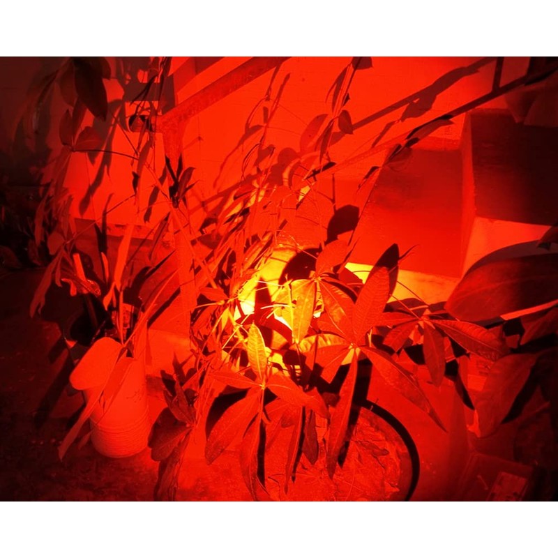 WONDSUNSON 2X Red Light Pen Type Penlight Flashlight One Mode