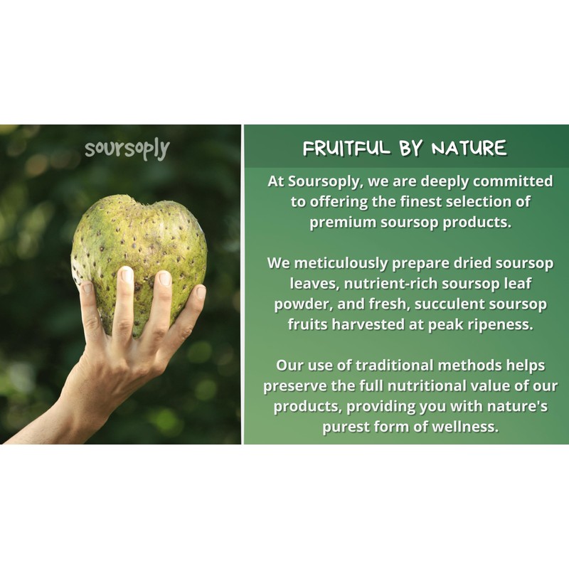 Soursoply – Premium Dried Soursop Leaves (100g) | Whole Dried