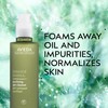 Aveda Botanical Kinetics Purifying Gel Cleanser | for Normal to