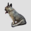 Amber Collar for Dogs and Cats - 100% Natural Baltic