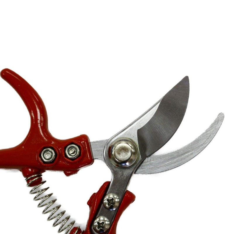 Fukui OWL #555 Small Pruning Scissors
