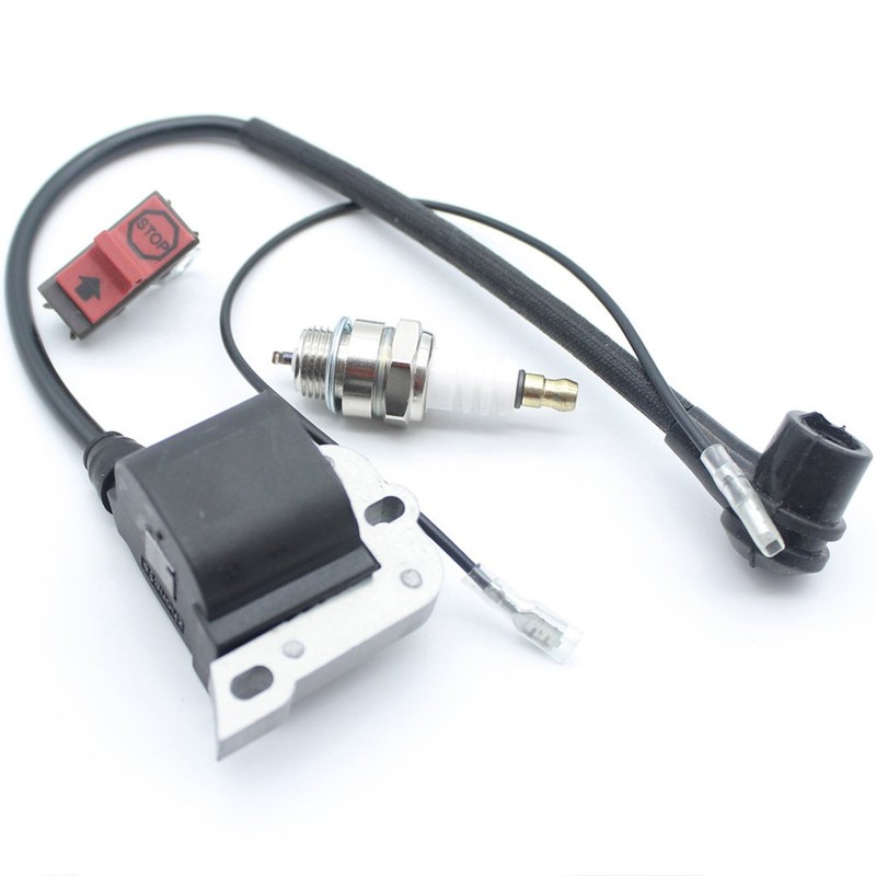 Replace Ignition Coil & On Off Stop Switch & Spark