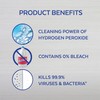 Lysol Bleach Free Hydrogen Peroxide Toilet Bowl Cleaner, Fresh, 24