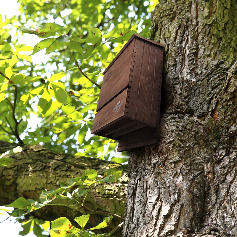 Outer Trails Japanese Cedar Bat House Habitat: Three Chambers, Weatherproof,