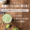 なかやまきんに君プロデュース ファミテイン（カカオ味 300g）ホエイ ソイ プロテイン