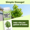 Maple Tree Fertilizer, Complete Liquid Maple Tree Plant Food, 8