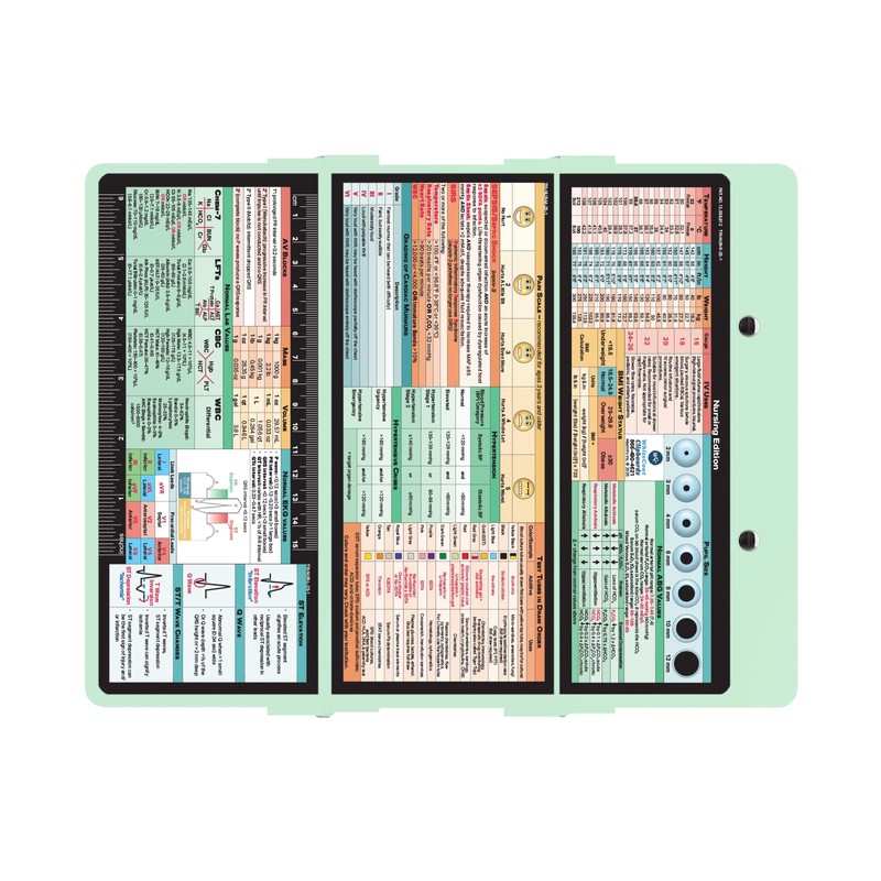 Whitecoat Clipboard® Trifold - Nursing Edition (Mint, Trifold)