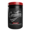 Adictos Al Gym Creatina Suplemento 500g 100serv Sfn