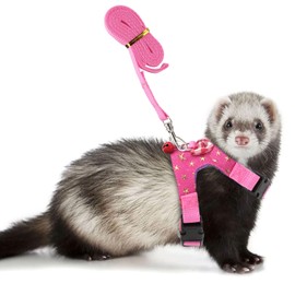 Wontee Small Pet Harness Vest and Leash Set with Bowknot and Bell Decor for Gerbil Guinea Pig Squirrel Kitten Outdoor Walking (S, Pink Star)