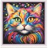 Meecaa Cross Stitch Kits 11 Count Embossed Cat Animal Colors