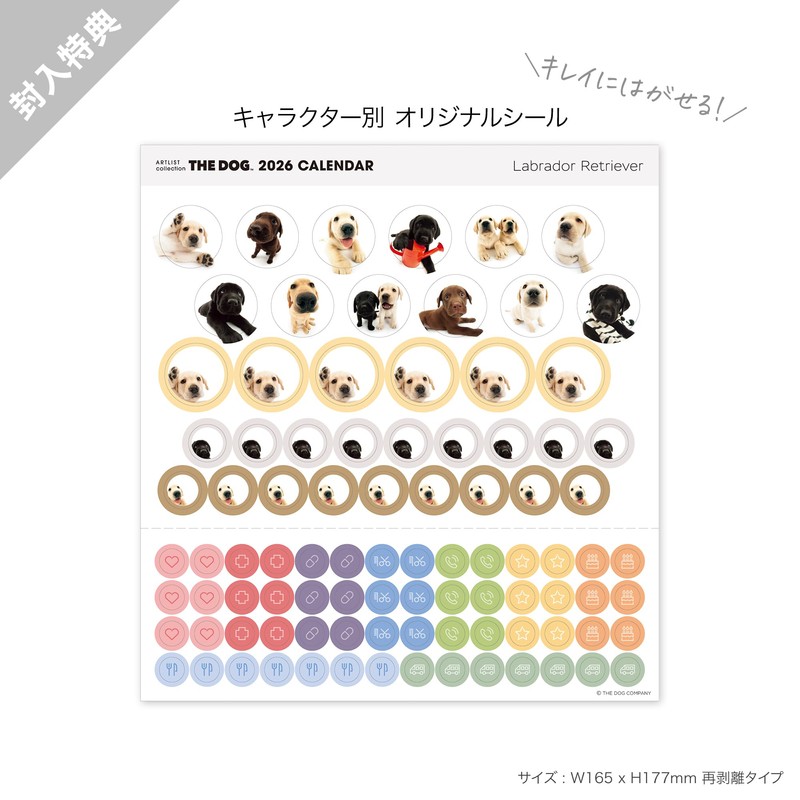 THE DOG Tabletop Calendar 2026 (Labrador Retriever)