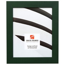 Craig Frames 26026 16 by 20-Inch Picture Frame, Smooth Wrap Finish, 1.26-Inch Wide, Green