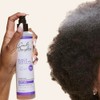 Carol's Daughter Black Vanilla Leave-In Conditioner, 8 fl oz (Packaging