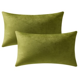 DEZENE Couch Pillow Cases 12x20 Chartreuse: 2 Pack Cozy Soft Velvet Rectangular Throw Pillow Covers for Farmhouse Home Decor