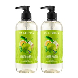 Caldrea Hand Wash Soap, Aloe Vera Gel, Olive Oil and Essential Oils to Cleanse and Condition, Ginger Pomelo Scent, 10.8 oz, 2 Pack