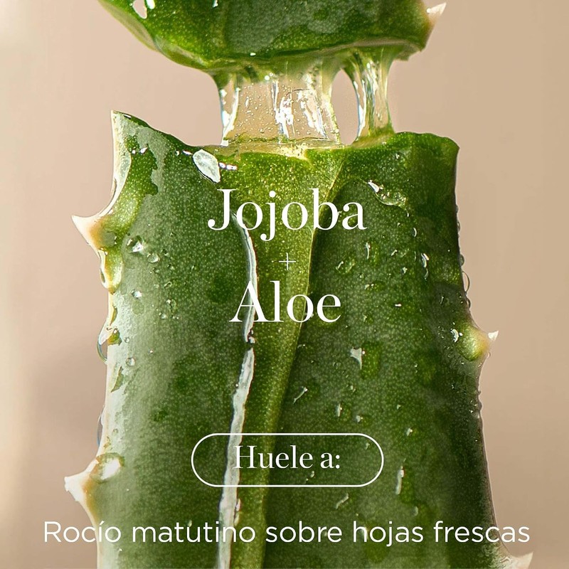RAW SUGAR, The Scalp Restore Shampoo, Jojoba y Aloe, Limpia