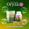 Oryza Rice bran and Germ Oil 90 Capsules
